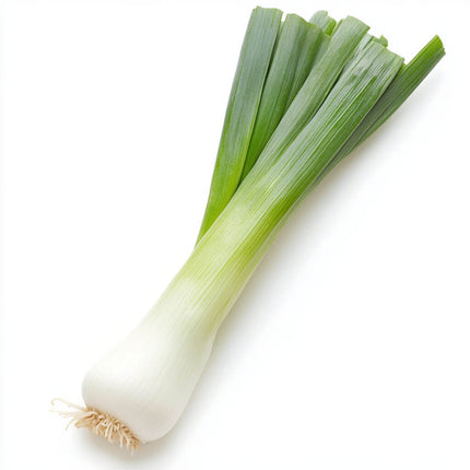 Lauch