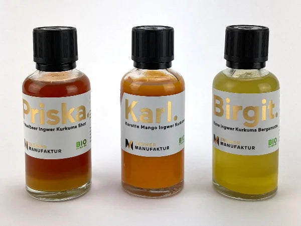 6x BIO-Ingwer-Kurkuma Shot (Gemischt)