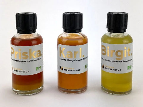 6x BIO-Ingwer-Kurkuma Shot (Gemischt)